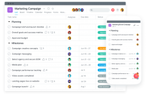 asana organizzazione lavoro agile project management