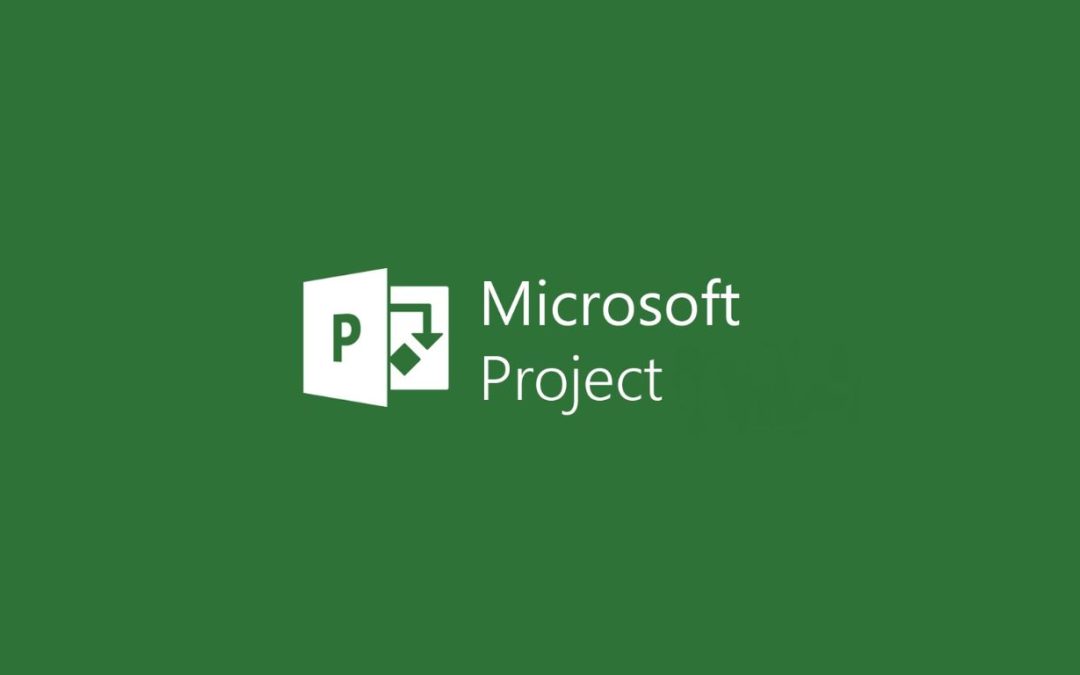 Microsoft Project: cos’è, come funziona, vantaggi e svantaggi