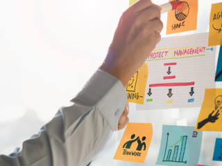 Program Manager e Project Manager: differenze tra i ruol
