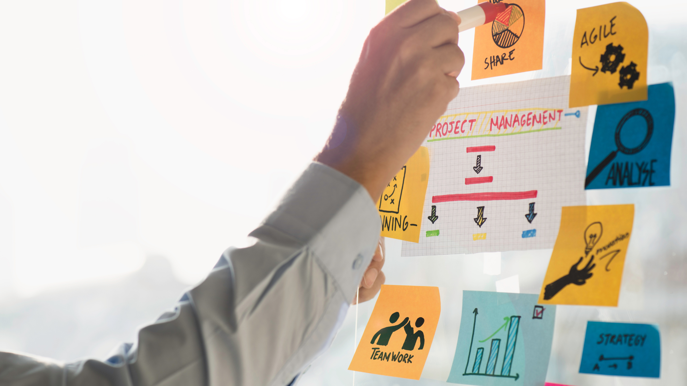 Program Manager vs Project Manager