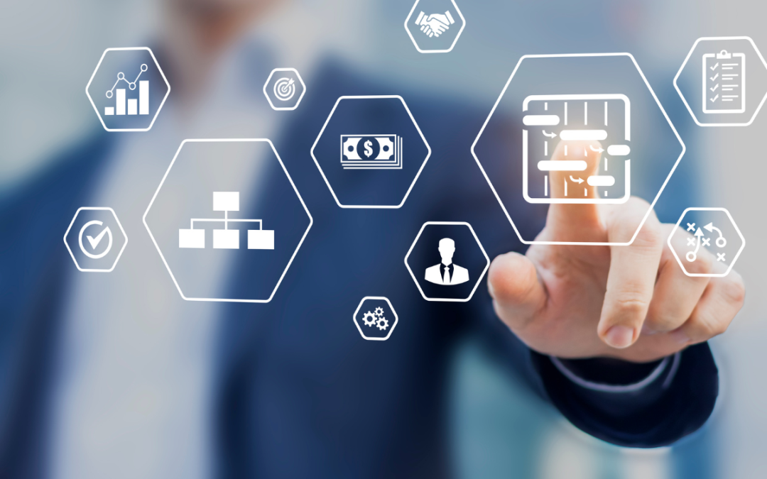 Portfolio, Programma e Progetto: guida definitiva per manager certificati